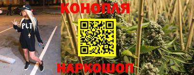 шишки Малоярославец