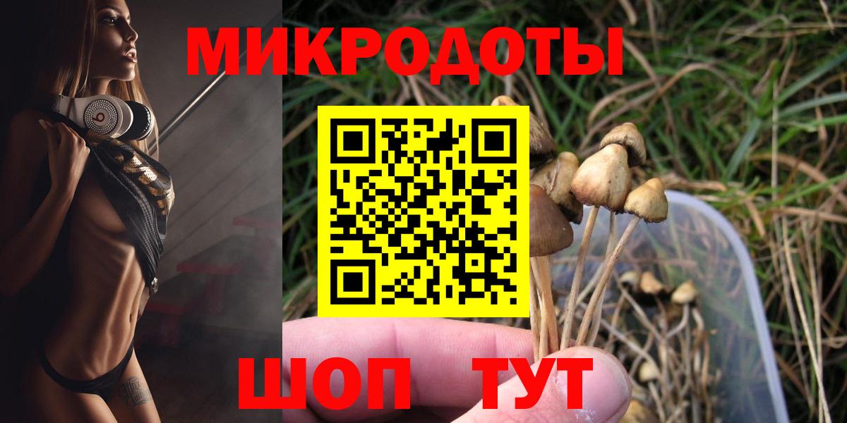 Псилоцибиновые грибы GOLDEN TEACHER Гусиноозёрск